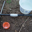 Drip Line Repair